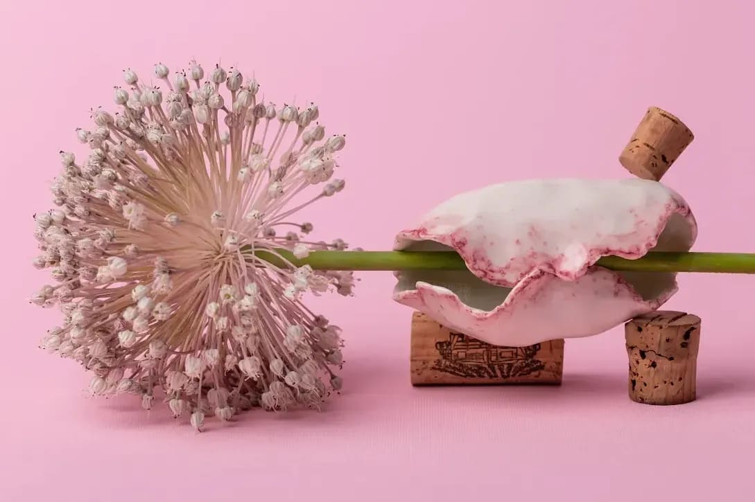 春の気配をいける、花心庵の新作いけばな