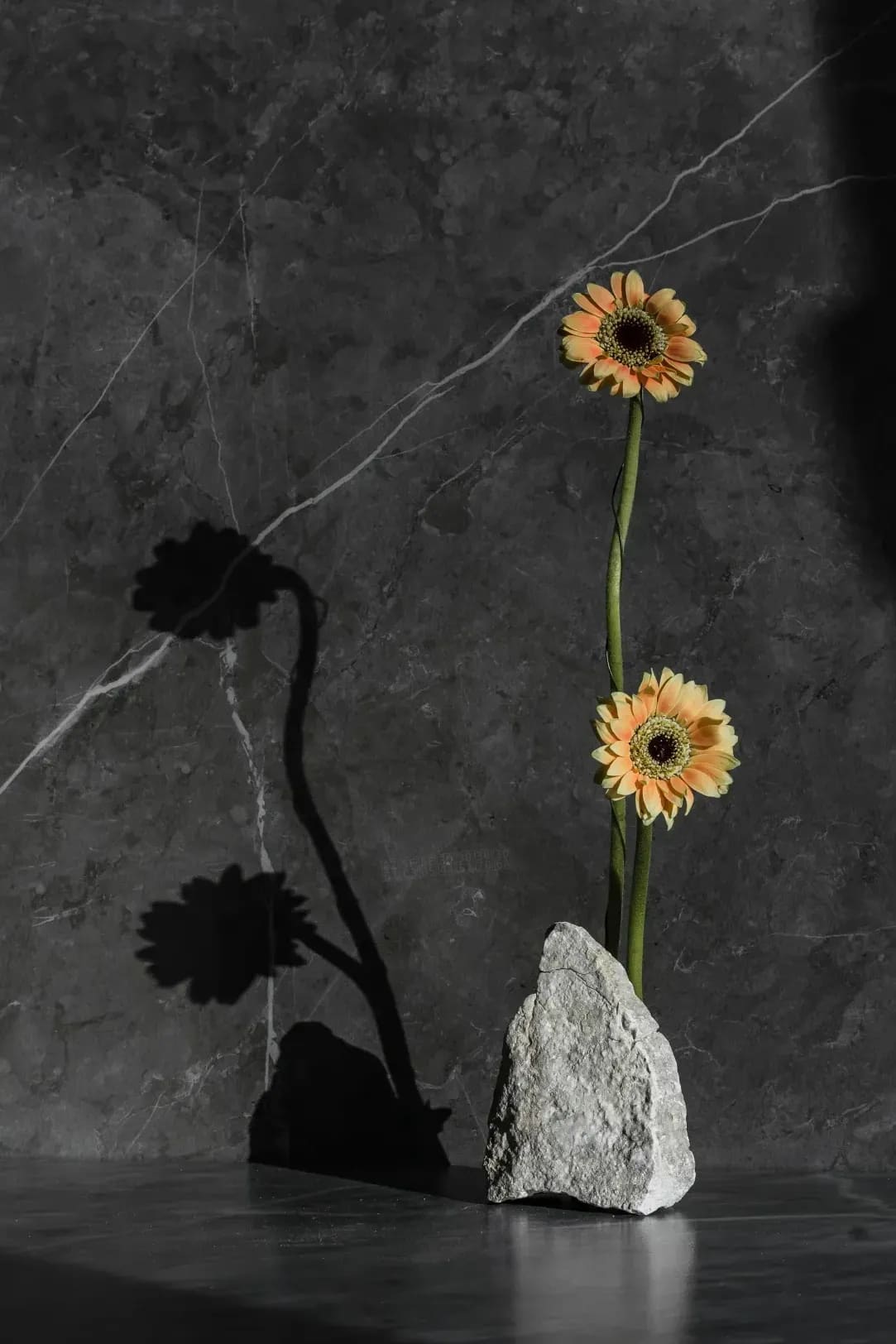 参考シナリオ:初回のお問い合わせ(ikebana)