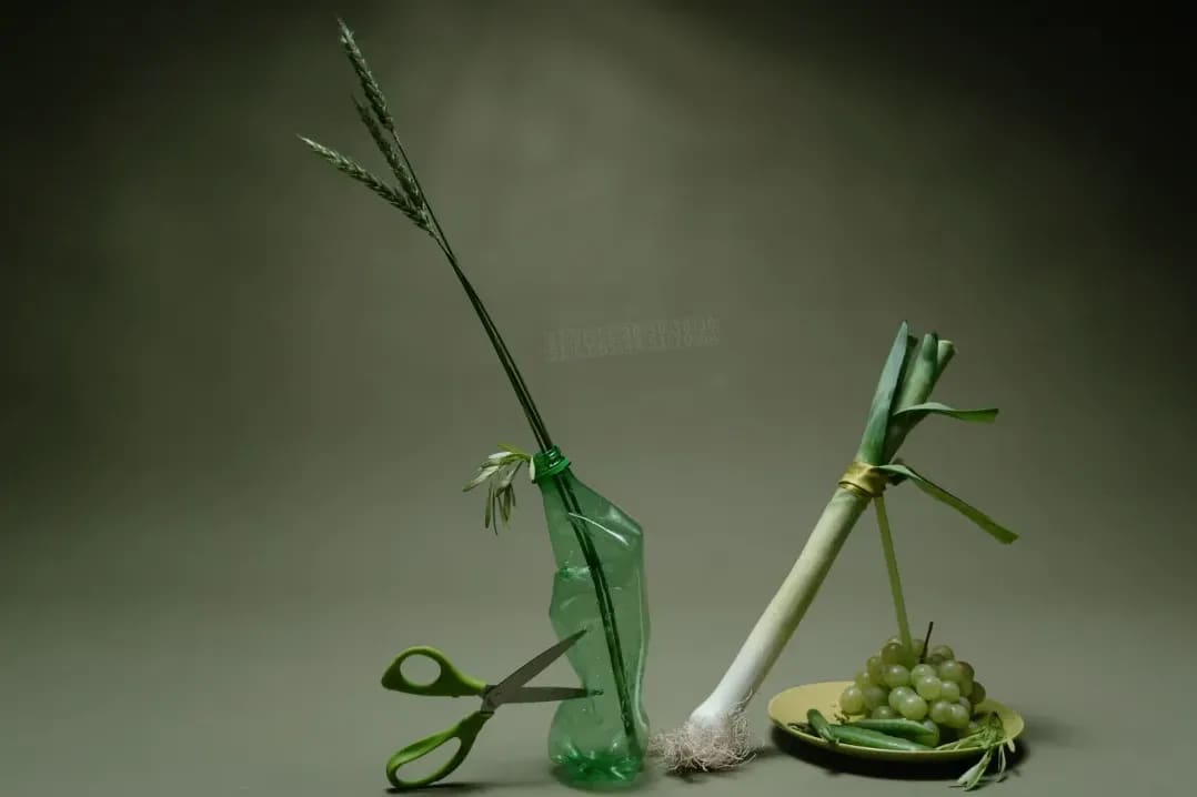 茶席・和室向け花材コーディネート